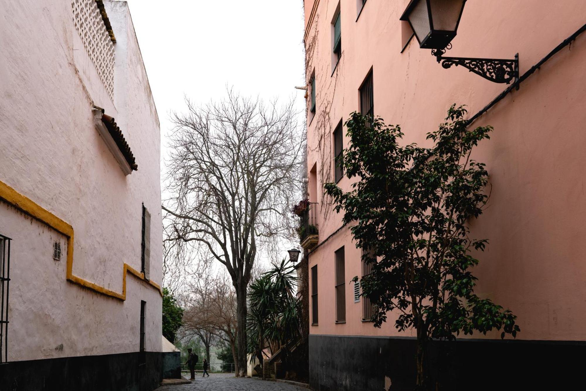 Apartamento Castilla 61 Sevilla Kültér fotó